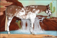 Horse Color:Chestnut Sabino