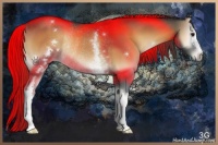 Horse Color:White Spotted Blue Onyx Chinchilla Rabicano