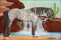 Horse Color:Gold Champagne Dun Near Leopard  and Liver Red Dun Roan 