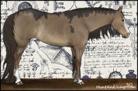 Horse Color:Liver Red Dun Sabino Rabicano