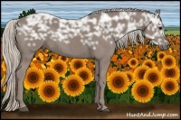 Horse Color:Silver Black Ice 