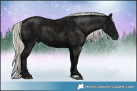 Horse Color:Liver Chestnut Ice Mushroom Rabicano 