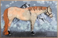 Horse Color:White Spotted Liver Red Dun Ice 