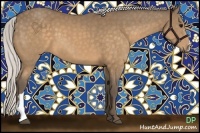 Horse Color:Silver Buckskin