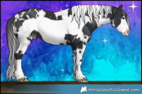 Horse Color:White Spotted Black Frame 