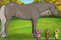 Horse Color:Silver Smoky Black 