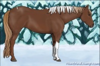 Horse Color:Chestnut Tobiano