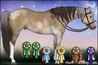 Horse Color:Liver Red Dun