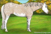 Horse Color:Palomino Ice Roan Splash