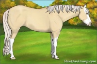 Horse Color:Silver Classic Champagne Dun Splash