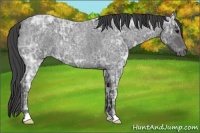 Horse Color:Smoky Blue Ice Roan 