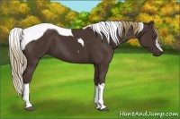 Horse Color:Liver Chestnut Tobiano 