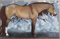 Horse Color:Chocolate Brown Dun 