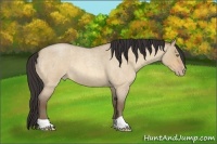 Horse Color:Amber Champagne Roan Dun