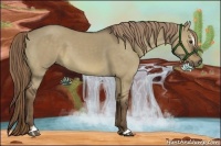 Horse Color:Liver Red Dun Sabino 