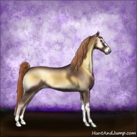 Horse Color:Liver Red Onyx 