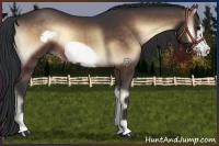 Horse Color:Brown Onyx Frame 
