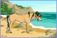 Horse Color:Palomino 