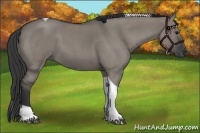 Horse Color:Grullo Roan Tobiano 