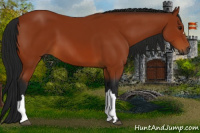 Horse Color:Gray Bay 