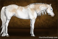 Horse Color:White Spotted Silver Brown Pearl Splash