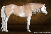 Horse Color:White Spotted Silver Bay Splash 