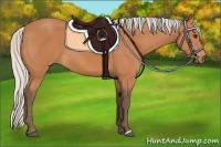 Horse Color:Silver Bay 
