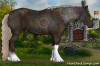 Horse Color:Midnight Palomino