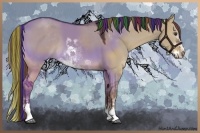 Horse Color:Painted Liver Red Dun Sabino 