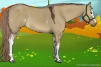 Horse Color:White Spotted Liver Red Dun 