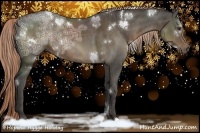 Horse Color:White Spotted Liver Chestnut Ice Sabino Rabicano