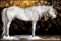 Horse Color:White Spotted Chocolate Palomino Ice Pearl Onyx Rabicano