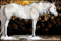 Horse Color:White Spotted Chocolate Palomino Pearl Onyx Splash Rabicano