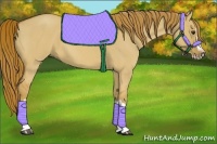 Horse Color:Red Dun Roan Splash Frame Rabicano 