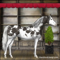 Horse Color:White Spotted Liver Chestnut Mushroom Splash 