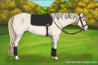 Horse Color:Perlino Roan 