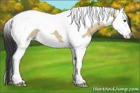 Horse Color:Bay Ice Dun Splash Tobiano