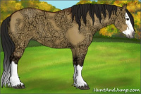 Horse Color:Gray Bay Ice Dun Sabino Splash 