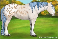 Horse Color:Painted Chestnut Splash Blanket 