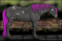 Horse Color:Painted Smoky Black Appaloosa
