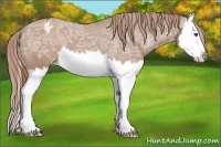 Horse Color:Chestnut Ice Splash Varnish 