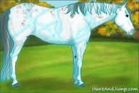 Horse Color:Thunderstruck Bay Sabino Splash Appaloosa