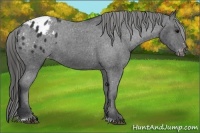 Horse Color:Black Sabino Blanket