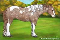 Horse Color:Chestnut Ice Splash Tobiano Varnish 