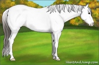 Horse Color:Plaid  Black Ice Sabino Splash Tobiano Blanket 