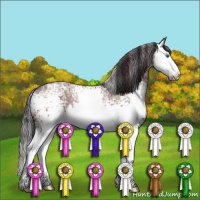 Horse Color:Plaid  White Spotted Brown Ice Sabino Splash 