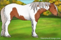 Horse Color:Silver Bay Tobiano 