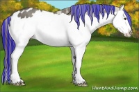 Horse Color:Painted Liver Chestnut Ice Splash Appaloosa