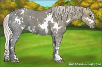 Horse Color:White Spotted Silver Black Ice Varnish 