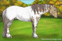Horse Color:Painted White Spotted Chestnut Ice Appaloosa 